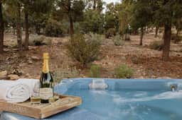 Rancharillo,  Hot Tub & Barn Game Loft & Mtn Views - Image 4