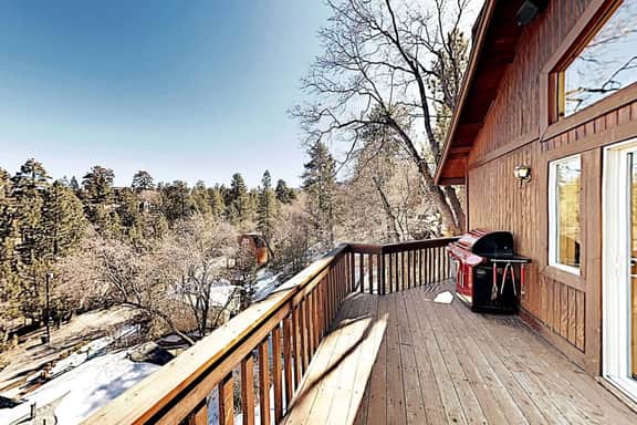 Bearadise Log Cabin w/ Forest Winter Views & Charm - Image 5