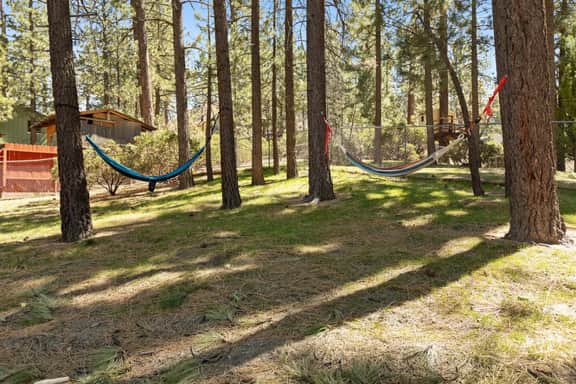 Marin Lodge, Near Slopes w/ Large Backyard, Pets - Image 5